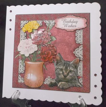 Peek a Boo 6inch Quick Card Topper by Suzi Cooper