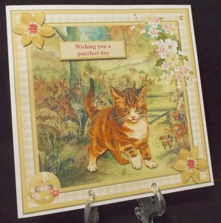 Exploring Kitten Card Topper & Decoupage by Suzi Cooper
