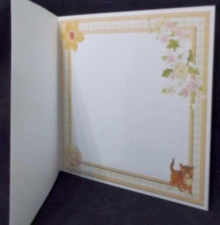 Exploring Kitten Card Insert by Suzi Cooper