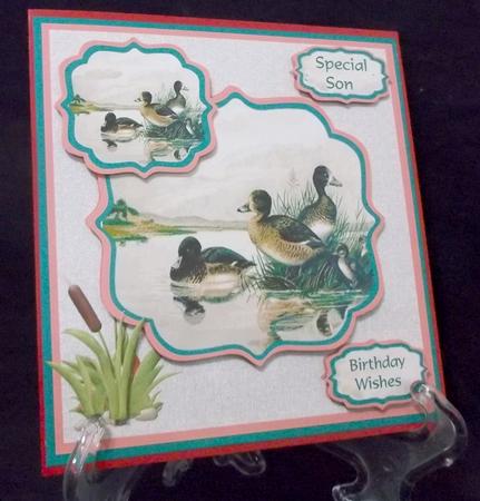 Birthday Card with Mallard Pond Scene by Suzi Cooper