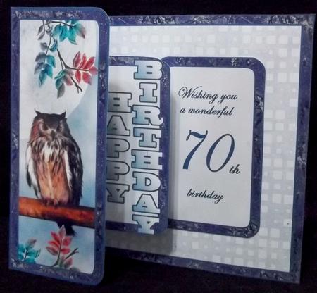 Fbp Owl 70th Birthday by Suzi Cooper