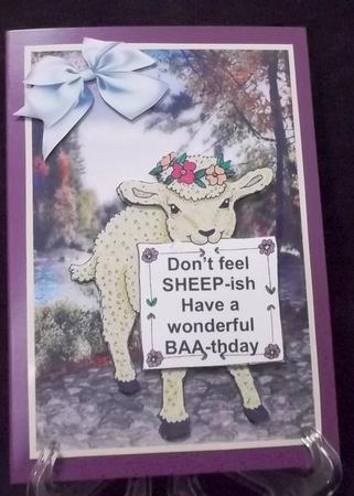 Have a Wonderful Baa-thday by Suzi Cooper