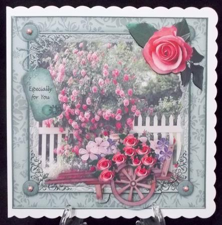 Rose Garden by Suzi Cooper