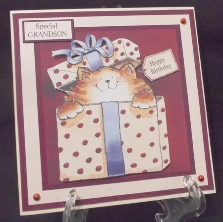 Son Birthday Card with Cat in Gift Box by Suzi Cooper