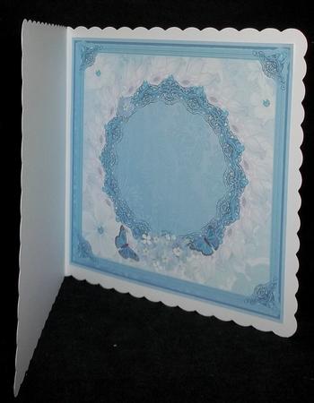 Blank Insert for Bluetits , Butterflies and Forgetme Nots by Suzi Cooper