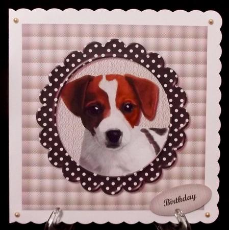 Puppy Love 4 by Suzi Cooper