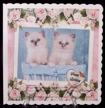 Sister Love Birthday Mini Kit by Suzi Cooper