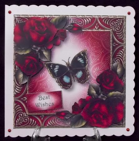 Vintage Butterfly & Magenta Roses by Suzi Cooper