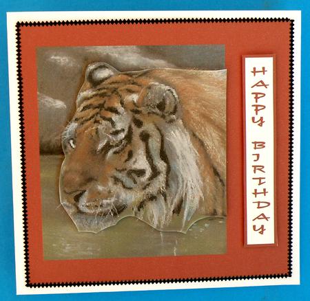 Birthday Tiger or Chinese New Year by Suzi Cooper