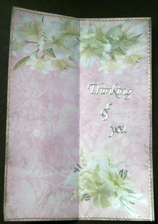 White on Pink by SYLVIA Chapman