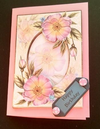 Pale Pink Wild Roses + Extra Decoupage Frame by SYLVIA Chapman