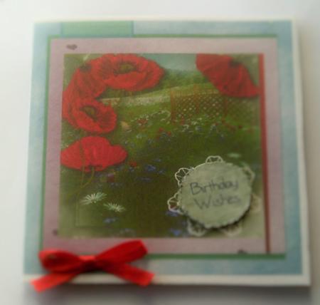 Beautiful Poppies & a Summer Meadow by SYLVIA Chapman
