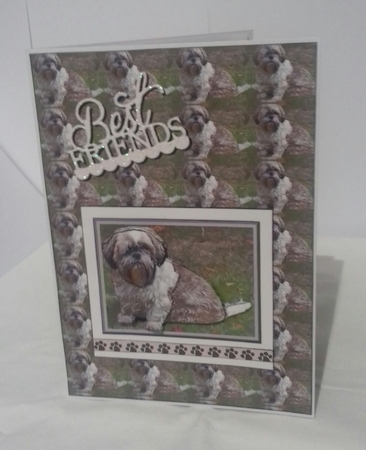 Shih Tzu Insert Sheet by Sylvia Sprot