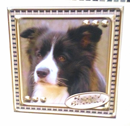 JJ LOVE MY DOG BORDER COLLIE 8X8 INSERT HAPPY BIRTHDAY Featured Gallery Photo