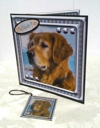  JJ LOVE MY DOG GOLDEN RETRIEVER 8X8 by Sylvia Sprot