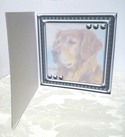 JJ LOVE MY DOG GOLDEN RETRIEVER 8X8 INSERT BLANK. by Sylvia Sprot