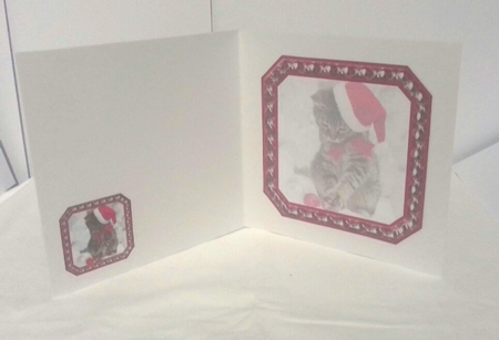  JJ PETS LOVE CHRISTMAS TOO CUTE CAT 8X8 INSERT BLANK by Sylvia Sprot