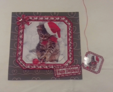  JJ PETS LOVE CHRISTMAS TOO CUTE CAT 8X8 INSERT BLANK by Sylvia Sprot