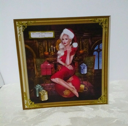 All I Want for Christmas Topper  by Sylvia Sprot