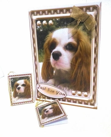 JJ LOVE MY DOG COCKER SPANIEL 2 5X7.jpg by Sylvia Sprot