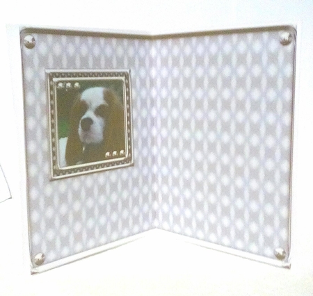 JJ LOVE MY DOG COCKER SPANIEL 2 5X7.jpg by Sylvia Sprot