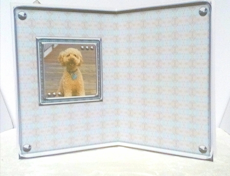 JJ LOVE MY DOG LABRADOODLE 1 5X7 by Sylvia Sprot