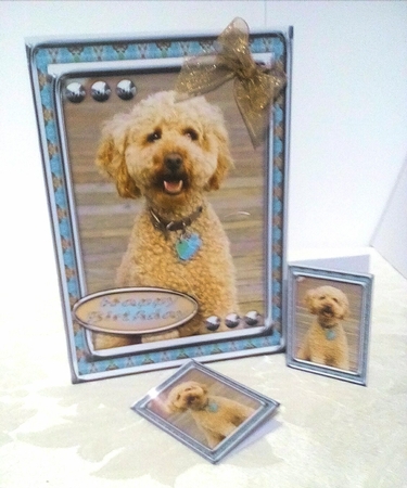 JJ LOVE MY DOG LABRADOODLE 1 5X7 INSERT by Sylvia Sprot