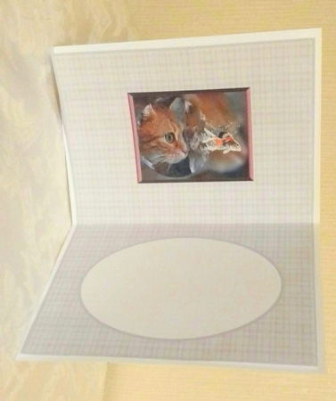 I Can See You Little Fishy Insert by Sylvia Sprot