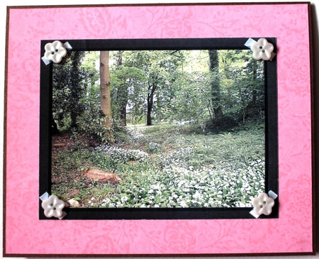 Wild Garlic Wood by Taina Kankare
