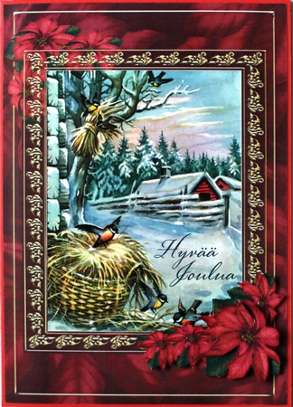 Poinsettia Insert by Taina Kankare