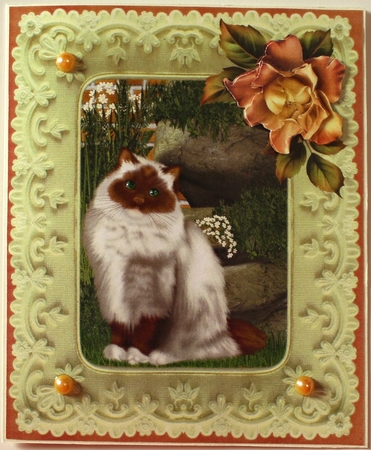 Yellow Carved Frames by Taina Kankare