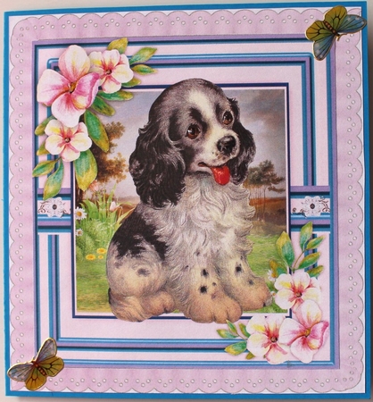 Beautiful Spaniel and Pencil Flowers  by Taina Kankare