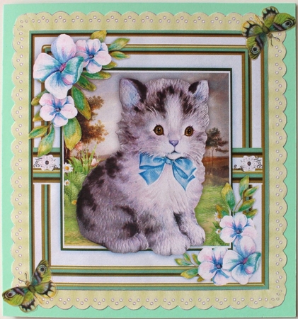 Beautiful Kitten and Pencil Flowers  by Taina Kankare