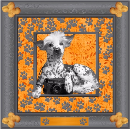 Dogs Designer mix  by Taina Kankare