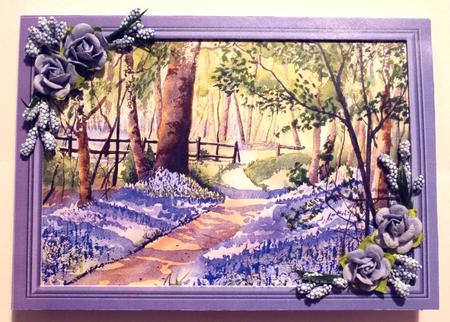 Bluebell Woods by Taina Kankare