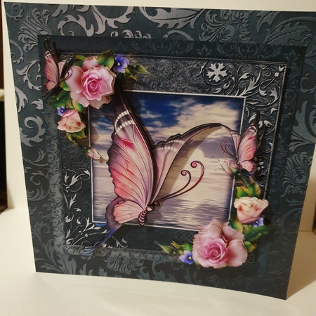 Sunset Butterfly by Tamara-lee  Lopuszynski 