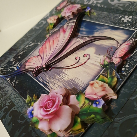 Sunset Butterfly by Tamara-lee  Lopuszynski 