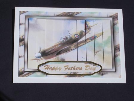 Spitfire 'high Flyer' Side Stacker Card Front by Tanya Gerhardt