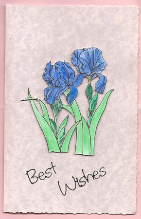 Iris Digi Stamp by Tasha Clark
