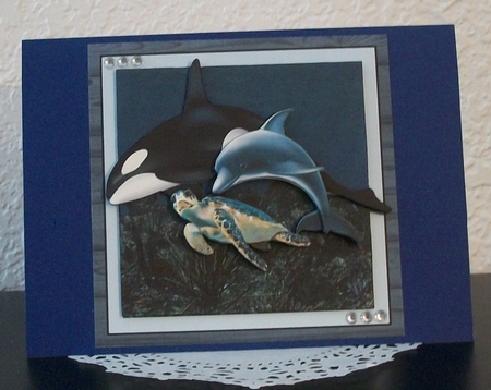 OCEAN FRIENDS by Teddi Phillips