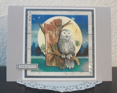 OWL MOON MINI KIT by Teddi Phillips