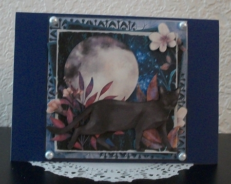 Enchanted Garden 6 by Teddi Phillips