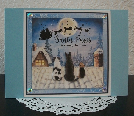 SANTA PAWS by Teddi Phillips