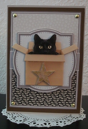 PEEKABOO CATS by Teddi Phillips