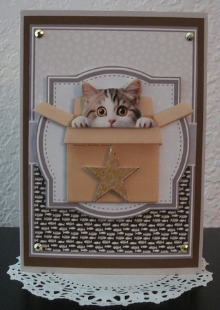 PEEKABOO CATS by Teddi Phillips