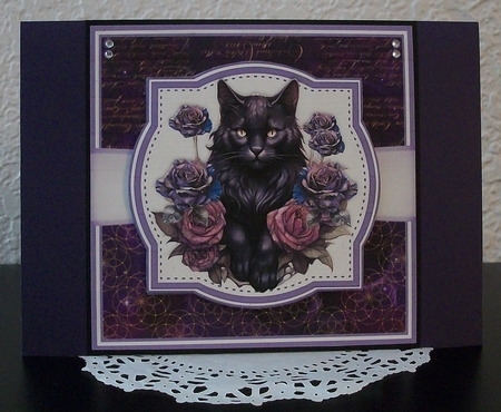 HALLOWEEN OR BIRTHDAY WITCHY THINGS by Teddi Phillips