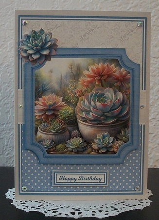 SUPER SUCCULENTS by Teddi Phillips