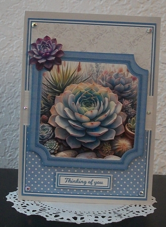 SUPER SUCCULENTS by Teddi Phillips