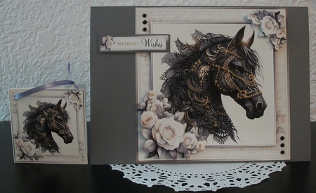 Black Beauty by Teddi Phillips