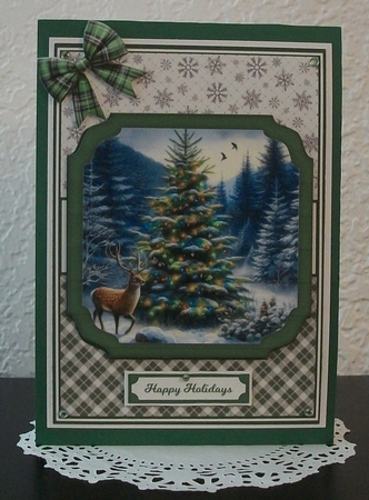 WILD CHRISTMAS by Teddi Phillips